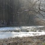 winter-teich48E90824-E7A4-156D-26B4-0F11CF10CBE5.jpg